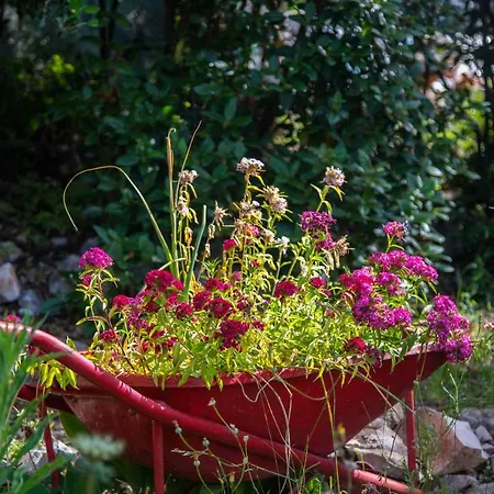 Slavka Рачишче